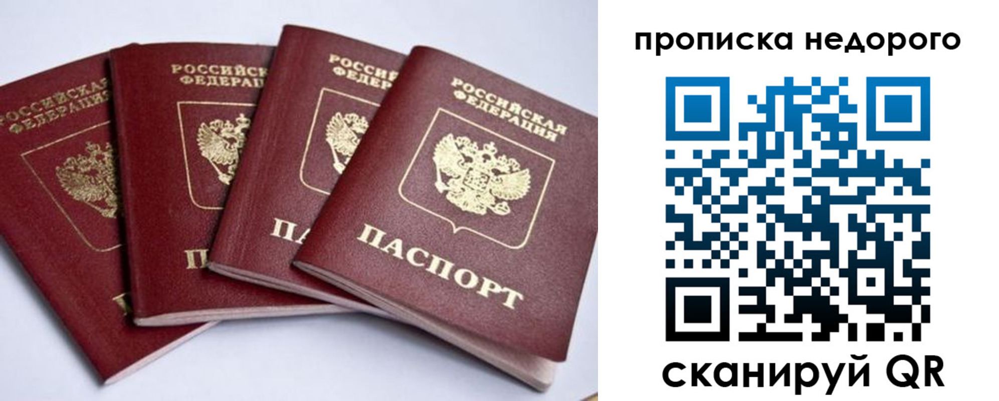 прописка паспорт в Мурманске